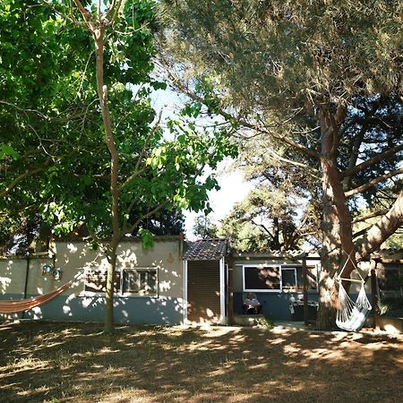 فيلا Limnos Stone House Kalliopi المظهر الخارجي الصورة